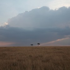 A Marathon Under The Kenyan Sun